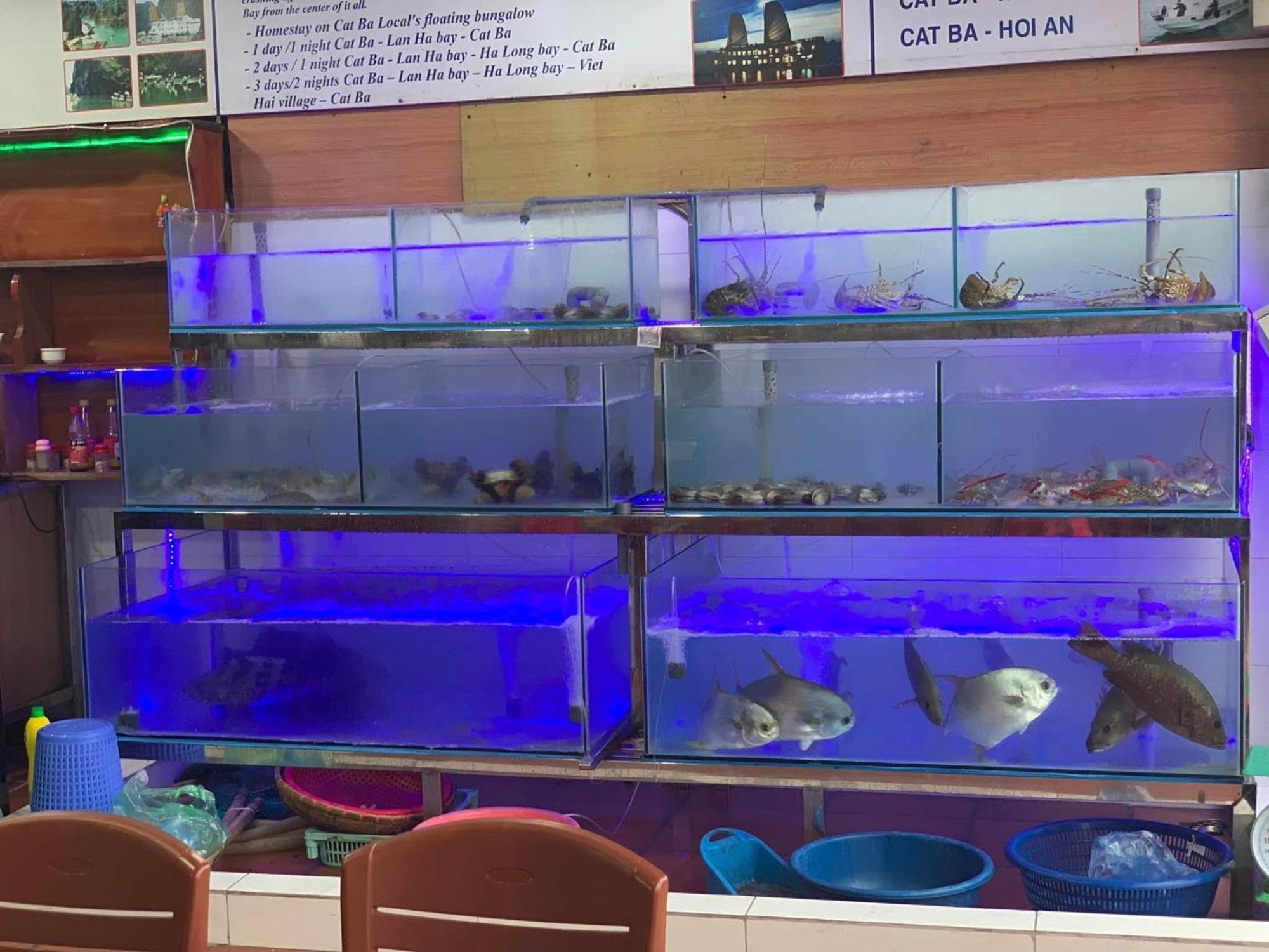 Phuong Phuong Hotel Dong Khe Sau Esterno foto